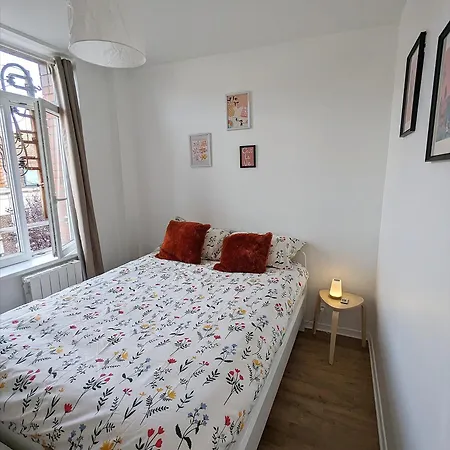 Le Design *vieux Lille*parking Gratuit*fibre Appartamento *